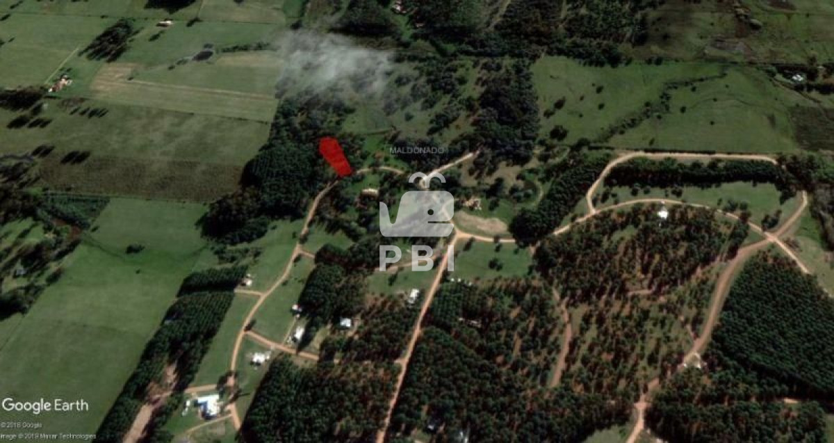 Terreno en venta Punta Ballena  - Ref : PBI976