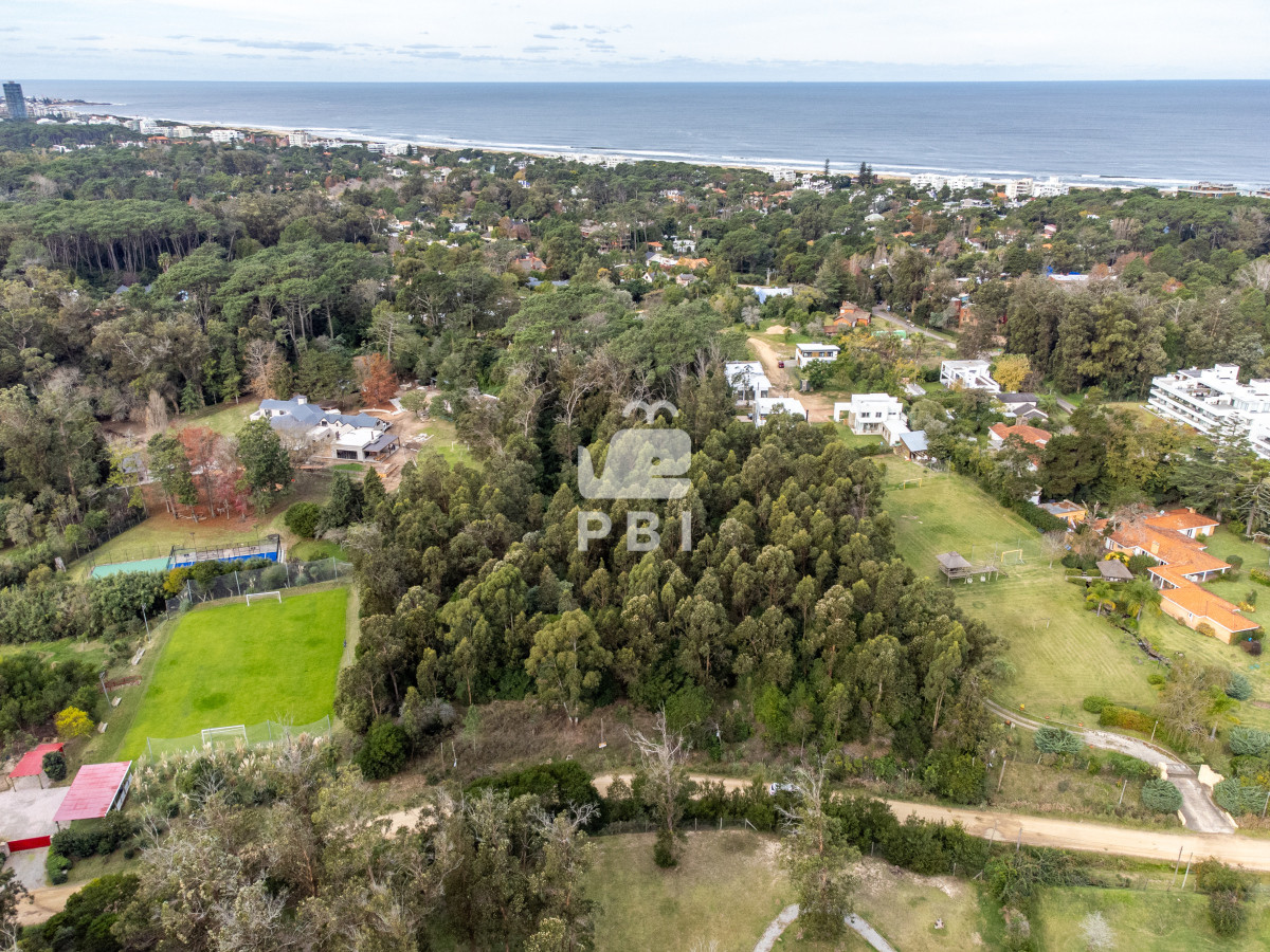 Golf - GoPunta - Portal Inmobiliario de Punta del Este - Maldonado