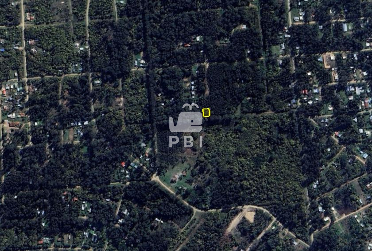 Sauce de Portezuelo - GoPunta - Portal Inmobiliario de Punta del Este - Maldonado