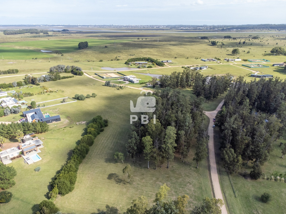 El Quijote - GoPunta - Portal Inmobiliario de Punta del Este - Maldonado
