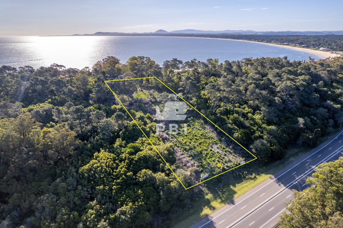 Lomo de la Ballena - GoPunta - Portal Inmobiliario de Punta del Este - Maldonado