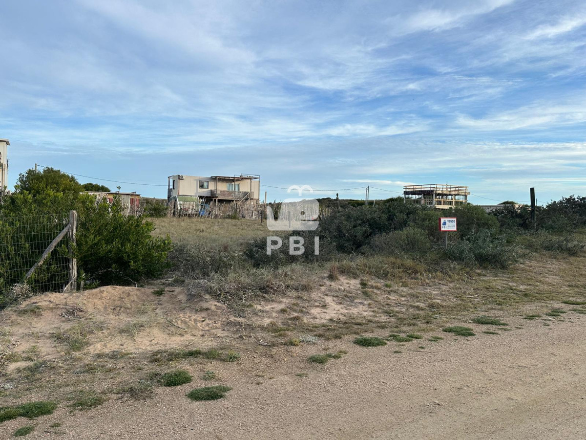 Sauce de Portezuelo - GoPunta - Portal Inmobiliario de Punta del Este - Maldonado