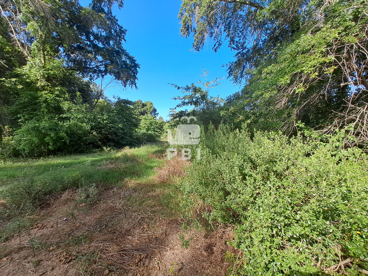 Golf - GoPunta - Portal Inmobiliario de Punta del Este - Maldonado