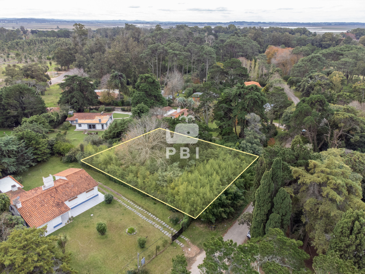 Golf - GoPunta - Portal Inmobiliario de Punta del Este - Maldonado
