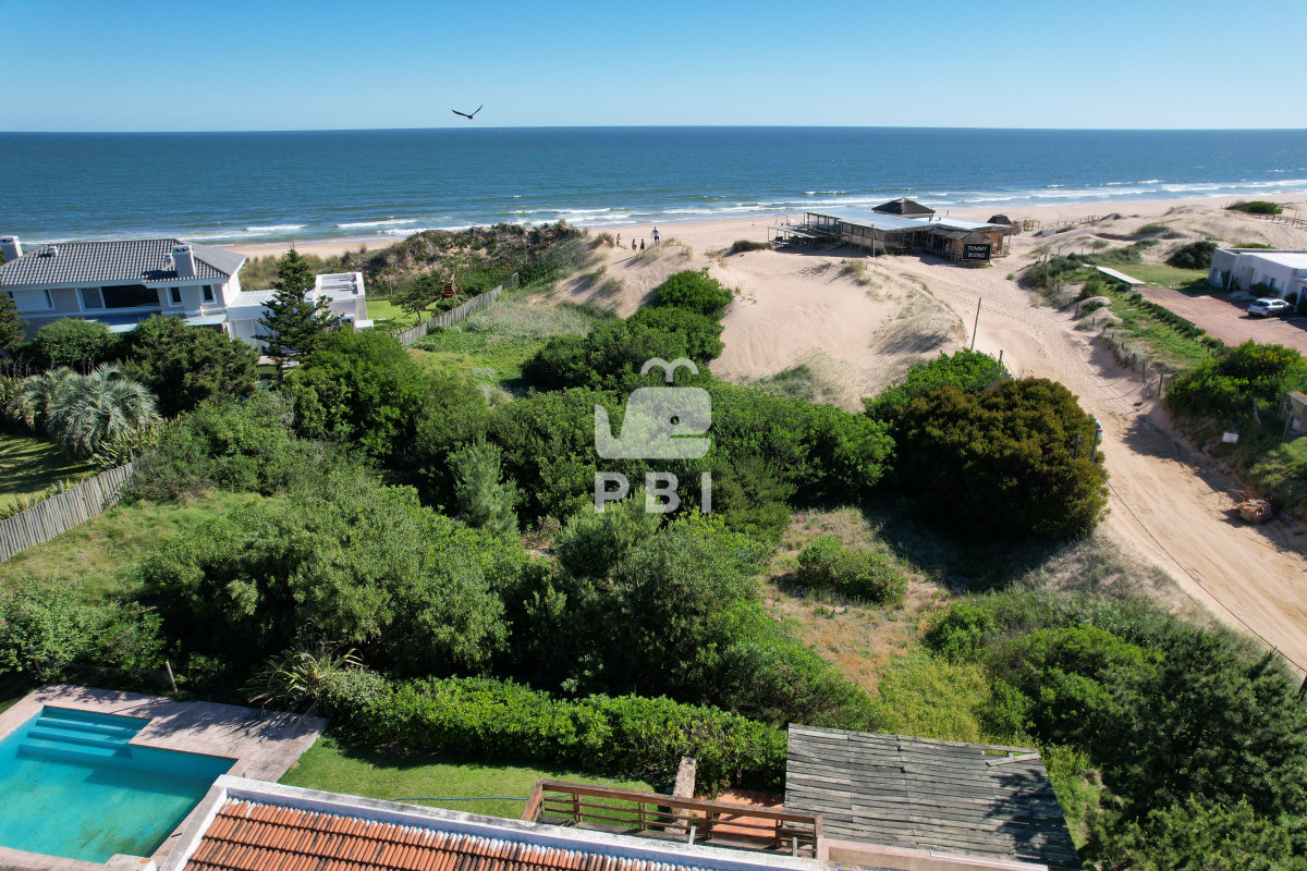 Tio Tom - GoPunta - Portal Inmobiliario de Punta del Este - Maldonado