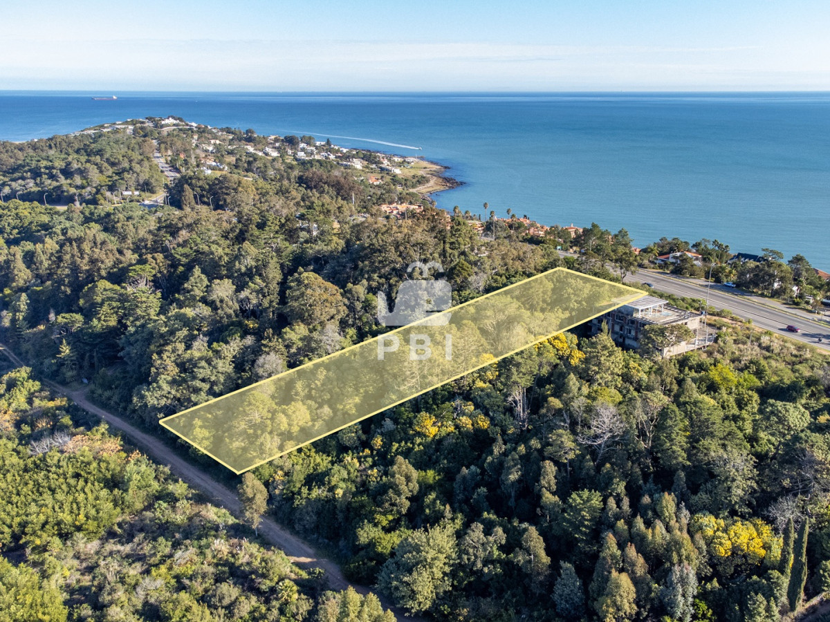 Lomo de la Ballena - GoPunta - Portal Inmobiliario de Punta del Este - Maldonado