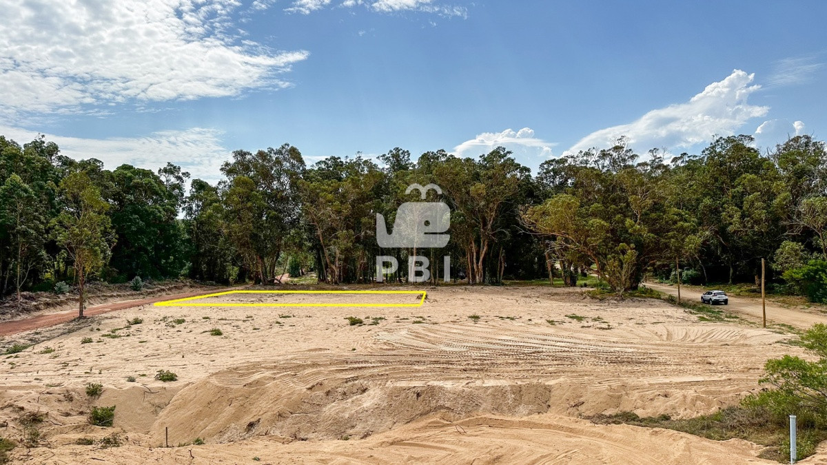 Sauce de Portezuelo - GoPunta - Portal Inmobiliario de Punta del Este - Maldonado