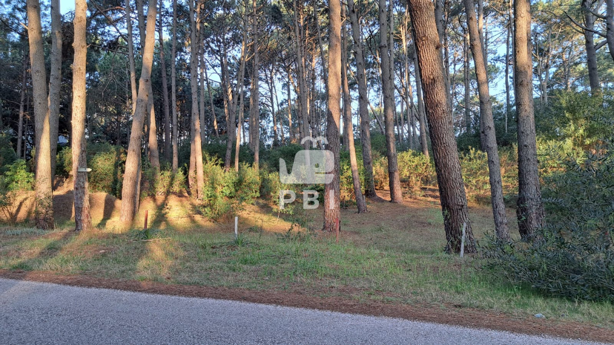 Club del Lago - GoPunta - Portal Inmobiliario de Punta del Este - Maldonado