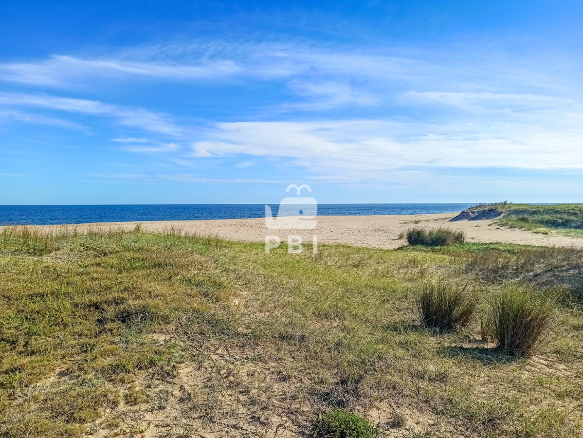 Santa Monica - GoPunta - Portal Inmobiliario de Punta del Este - Maldonado