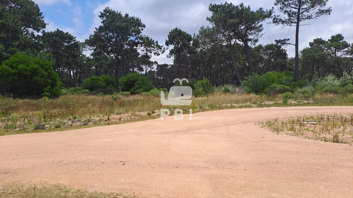 Montoya - GoPunta - Portal Inmobiliario de Punta del Este - Maldonado