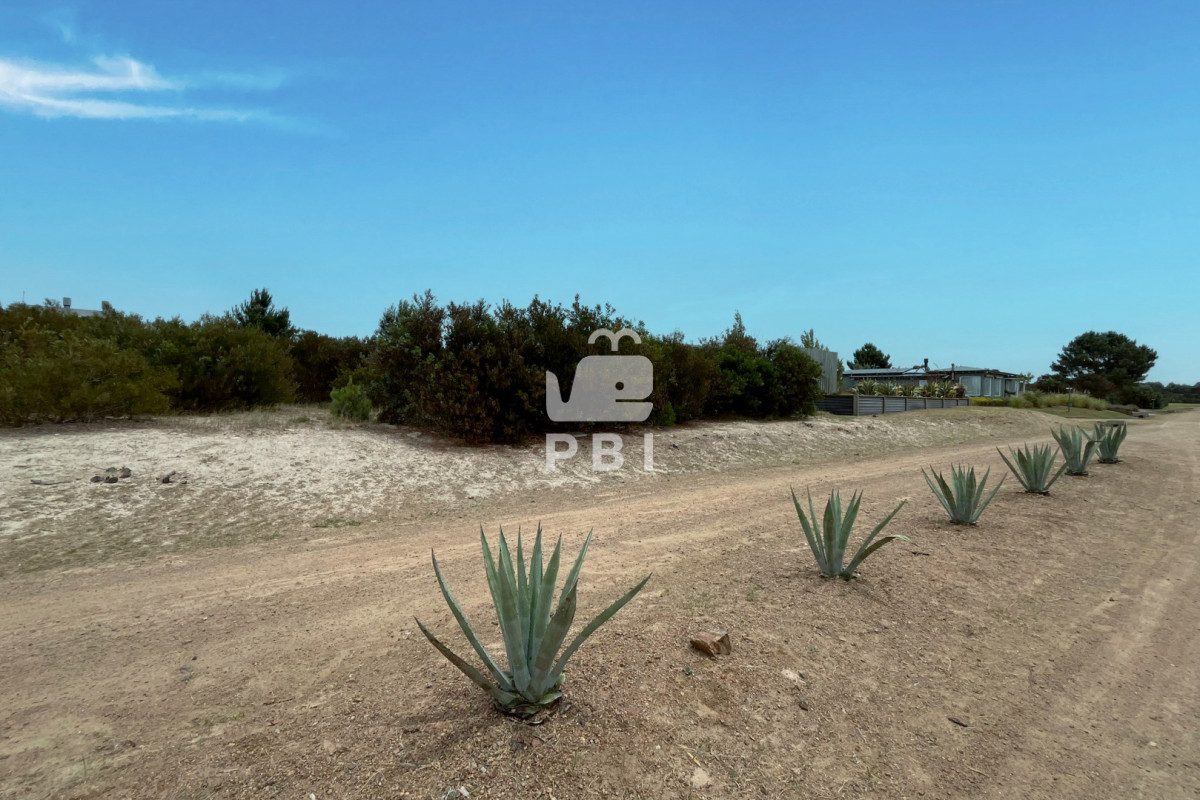 VGVycmVubyBlbiB2ZW50YSBlbiBQdWVibG8gZGVsIE1hciwgSmF1cmVndWliZXJyeSwgQ2FuZWxvbmVzIC0gUmVmIDogUEJJMTU0ODM=