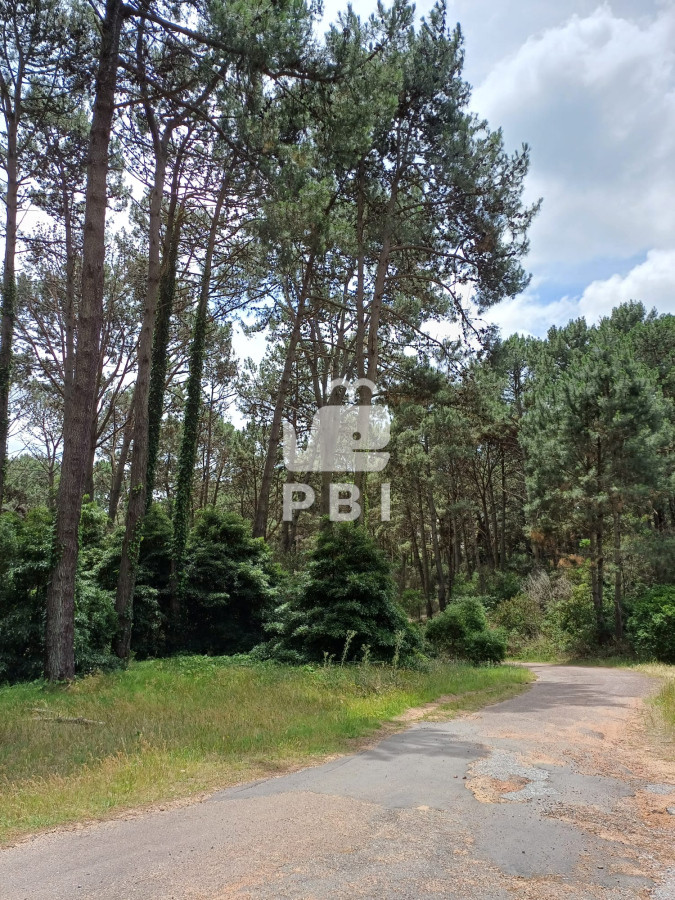 Club del Lago - GoPunta - Portal Inmobiliario de Punta del Este - Maldonado