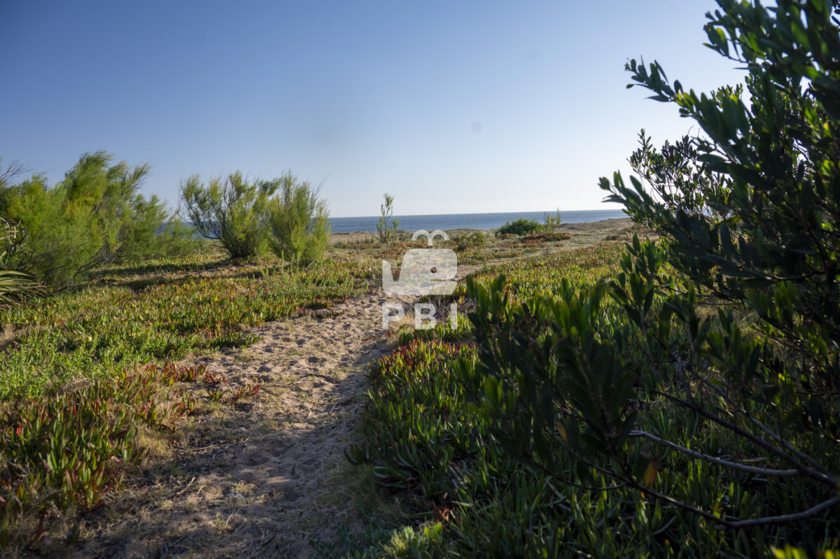 VGVycmVubyBlbiB2ZW50YSBlbiBiYXJyaW8gcHJpdmFkbyBBc3RyYSwgUHVudGEgQmFsbGVuYSAtIFJlZiA6IFBCSTE1NTU2