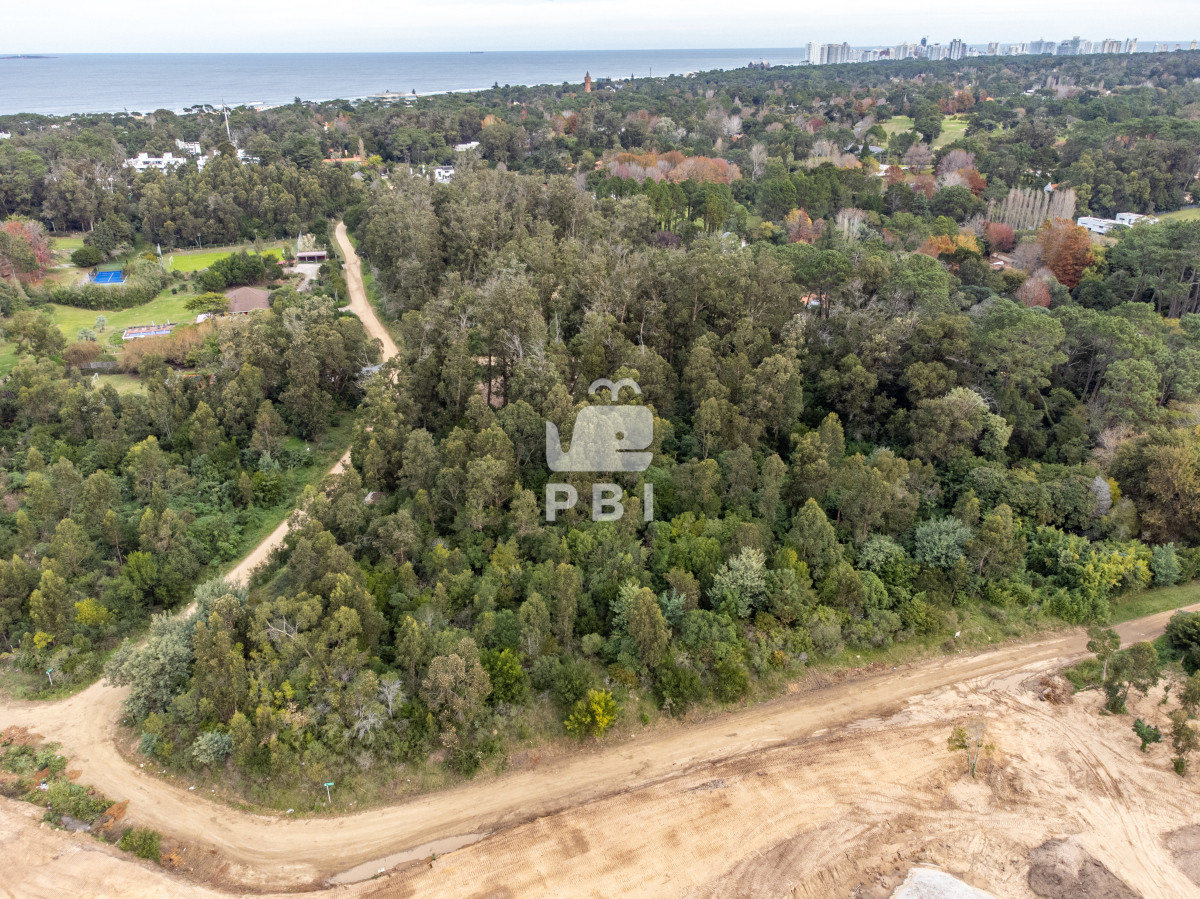 Golf - GoPunta - Portal Inmobiliario de Punta del Este - Maldonado