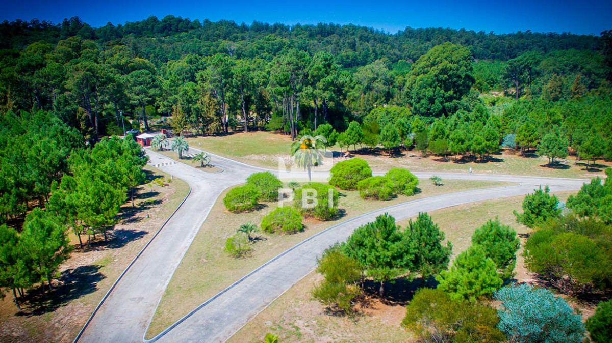 Laguna del Sauce - GoPunta - Portal Inmobiliario de Punta del Este - Maldonado