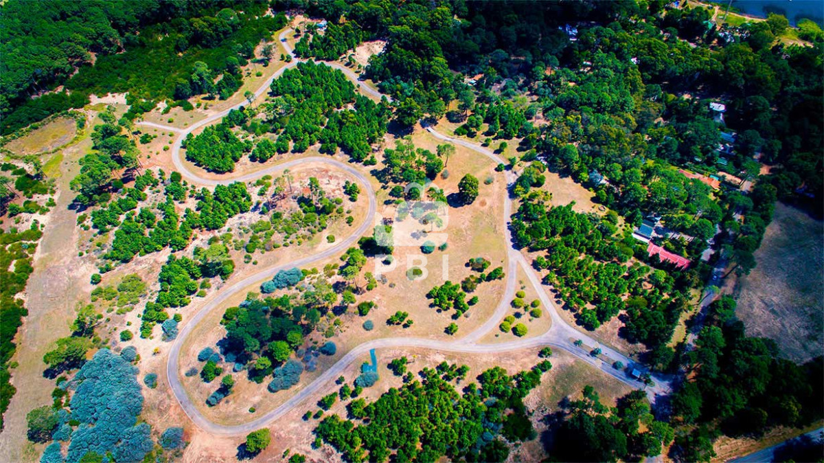 Laguna del Sauce - GoPunta - Portal Inmobiliario de Punta del Este - Maldonado