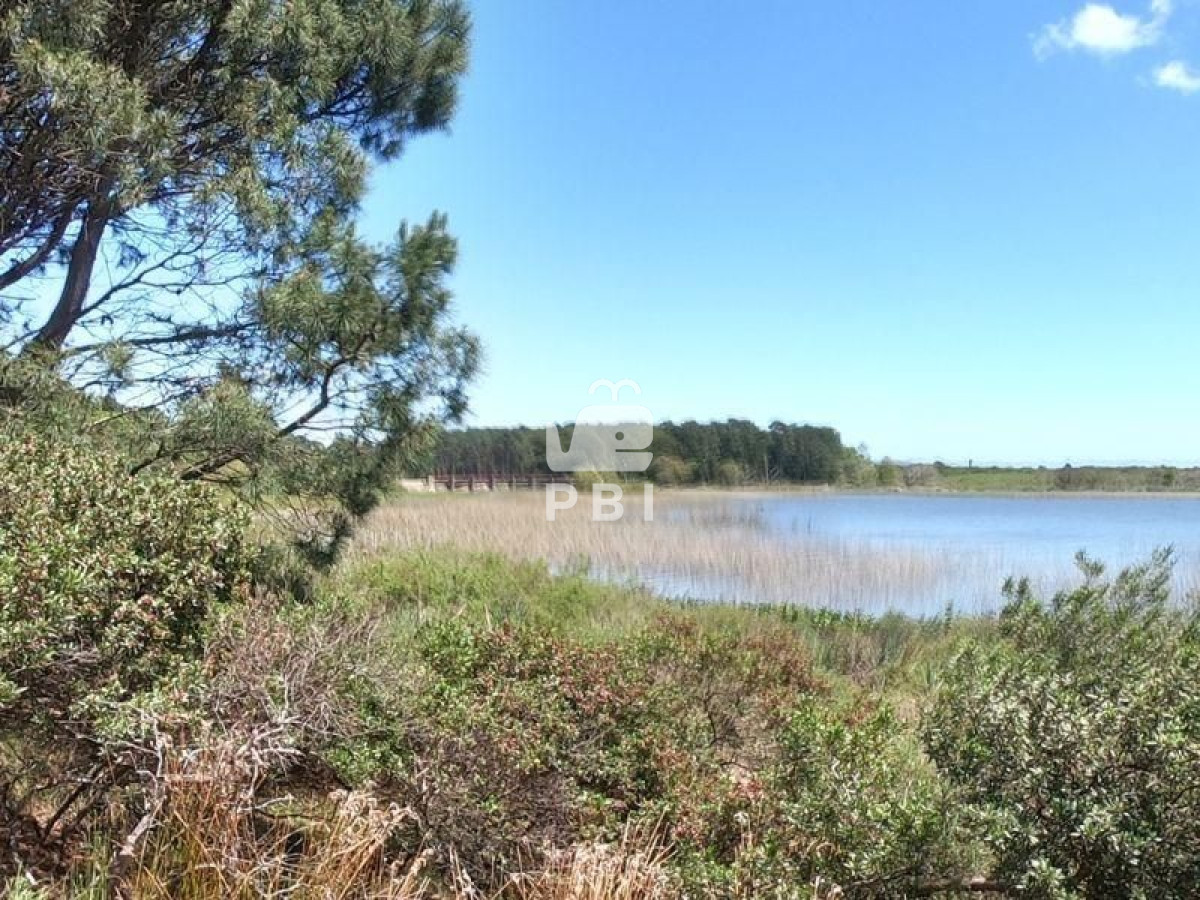 Club del Lago - GoPunta - Portal Inmobiliario de Punta del Este - Maldonado