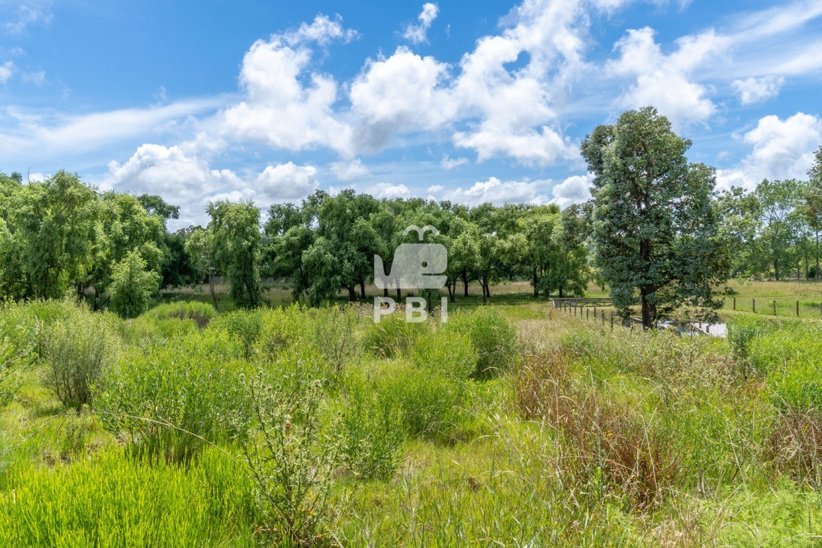 VGVycmVubyBlbiBDaGFjcmFzIGRlbCBQaW5hciAtIFJlZiA6IFBCSTEzMjE5