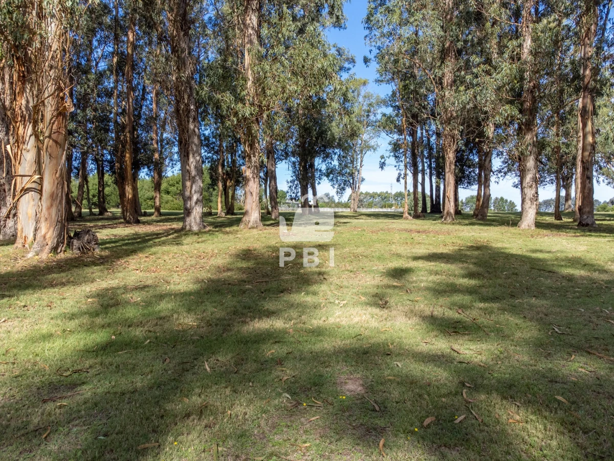 El Quijote - GoPunta - Portal Inmobiliario de Punta del Este - Maldonado