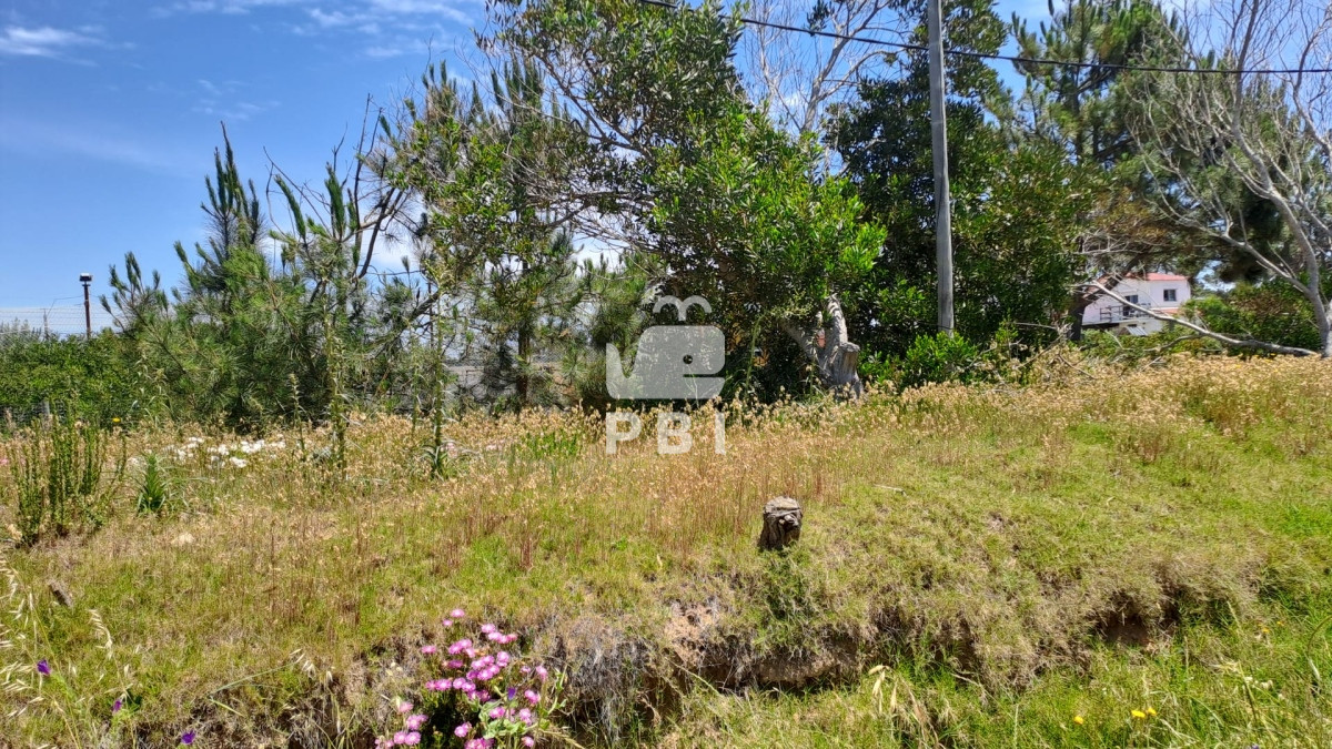 Balneario Buenos Aires - GoPunta - Portal Inmobiliario de Punta del Este - Maldonado