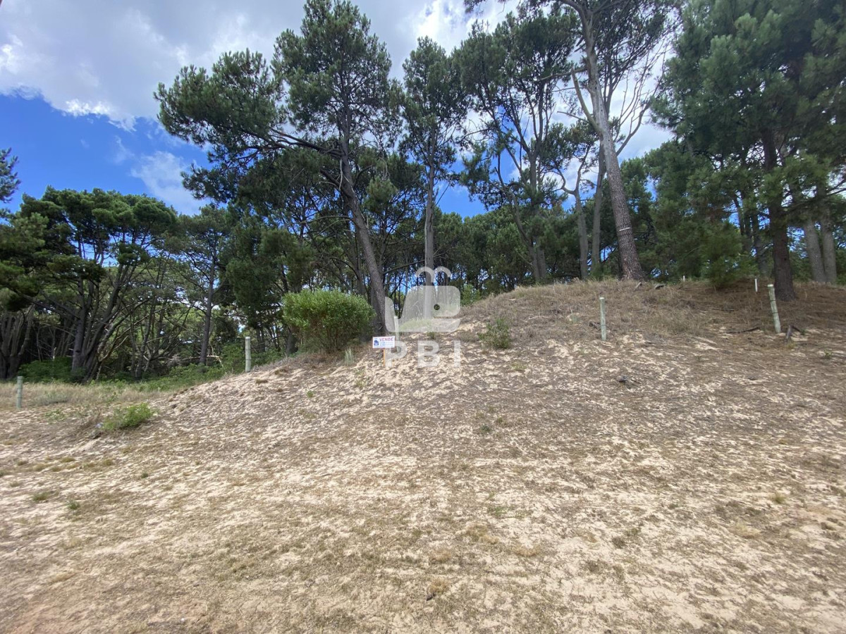 Club del Lago - GoPunta - Portal Inmobiliario de Punta del Este - Maldonado
