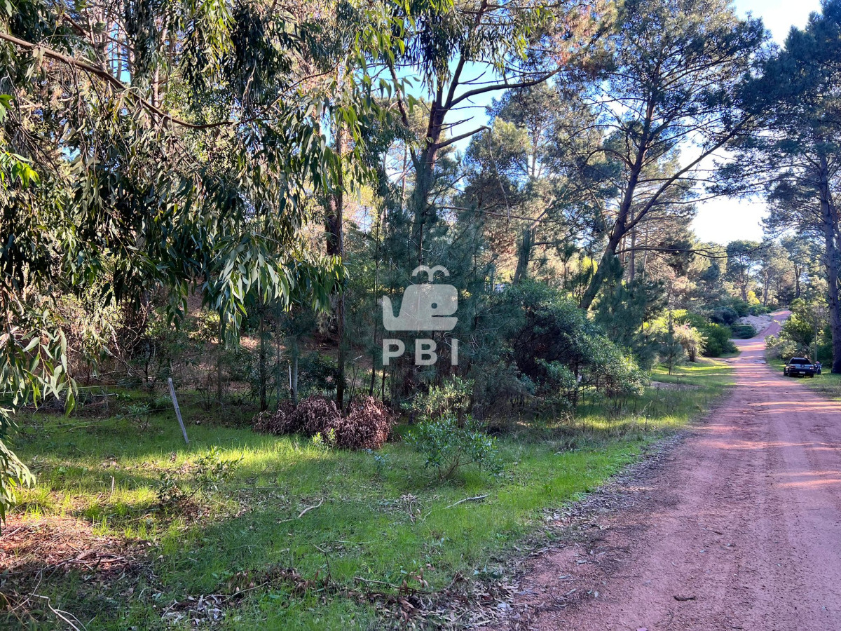 Club del Lago - GoPunta - Portal Inmobiliario de Punta del Este - Maldonado
