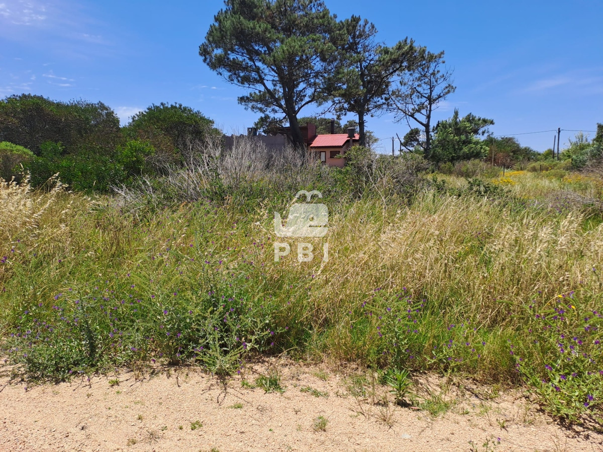 Balneario Buenos Aires - GoPunta - Portal Inmobiliario de Punta del Este - Maldonado
