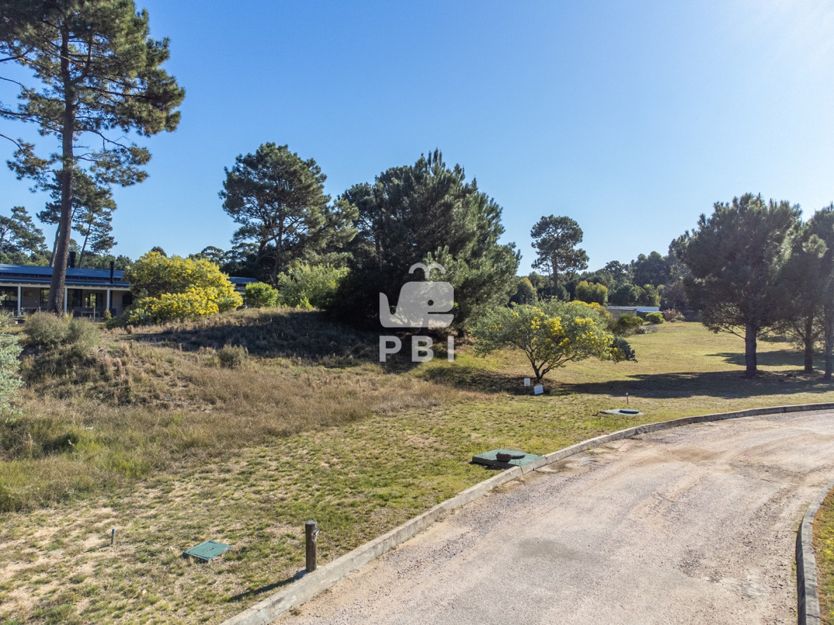 Laguna del Sauce - GoPunta - Portal Inmobiliario de Punta del Este - Maldonado