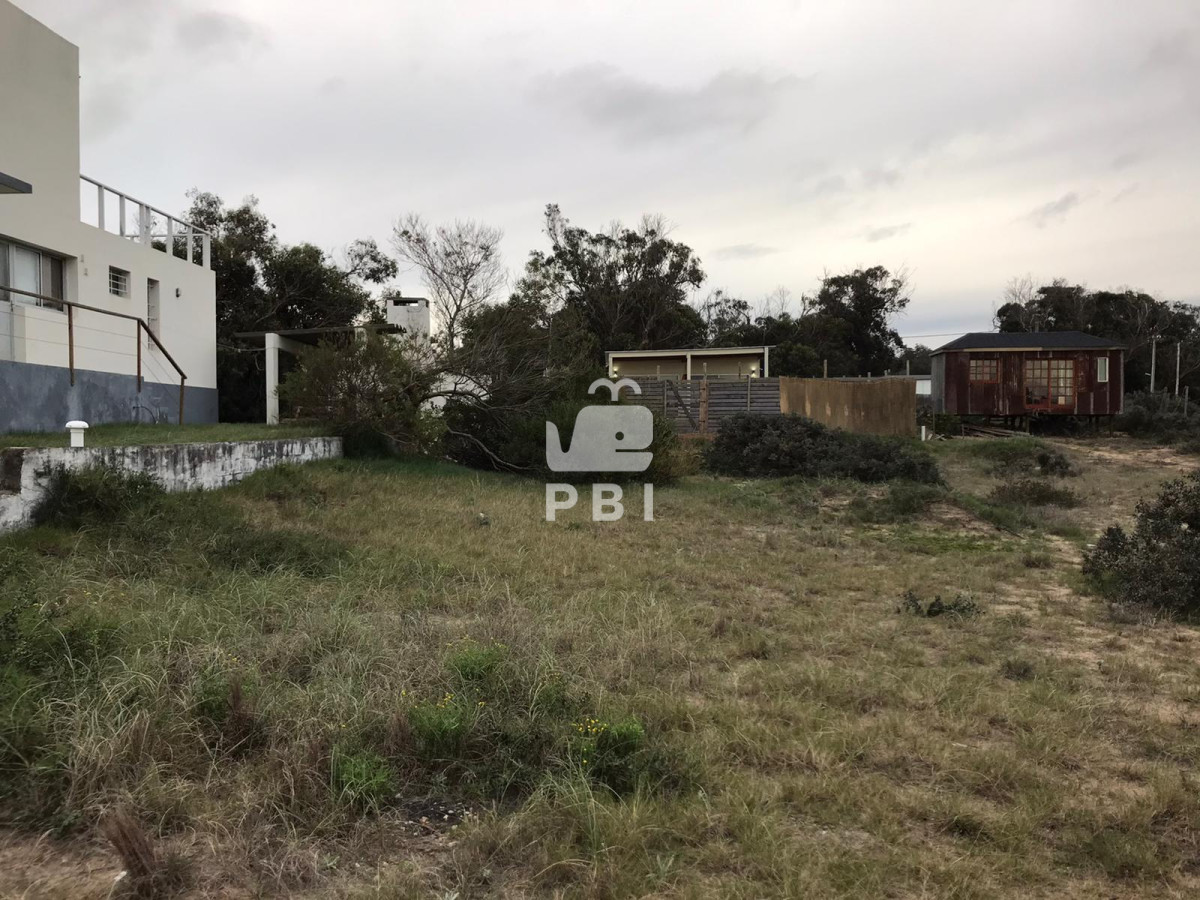 Sauce de Portezuelo - GoPunta - Portal Inmobiliario de Punta del Este - Maldonado