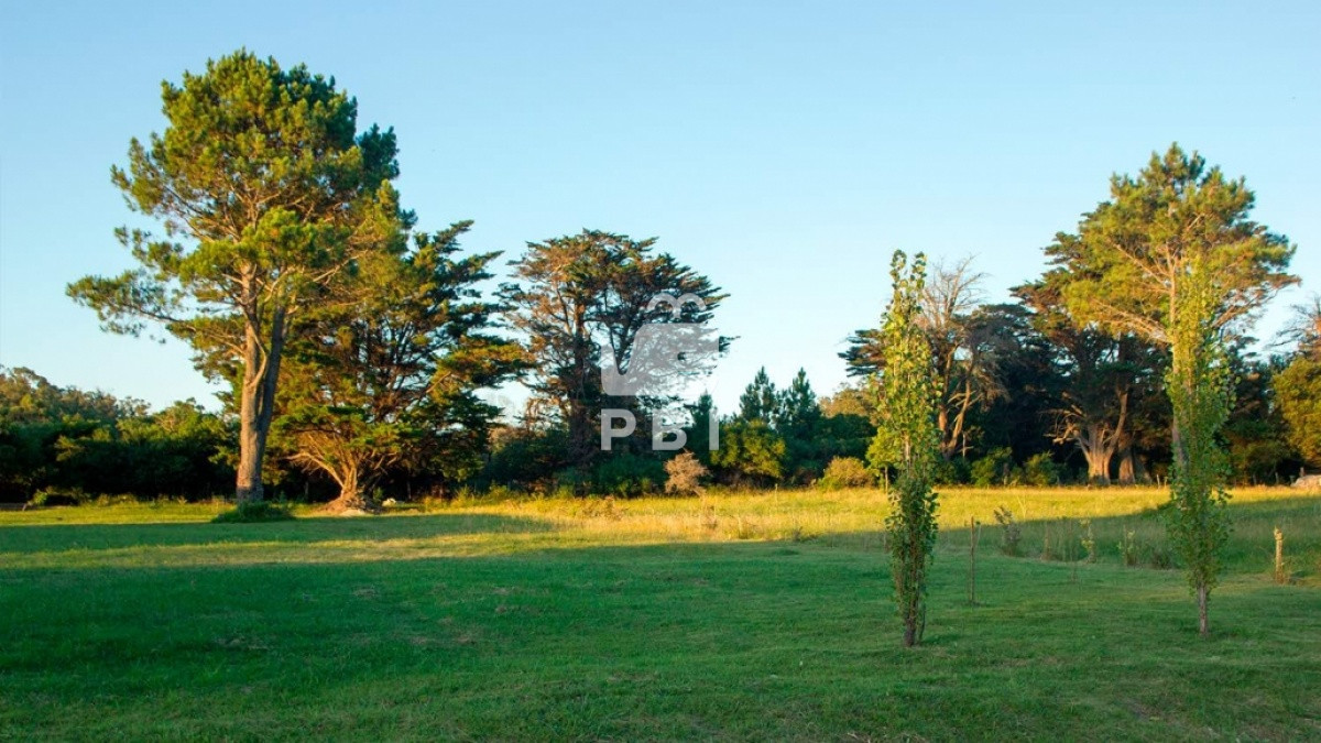 Los Tordillos - GoPunta - Portal Inmobiliario de Punta del Este - Maldonado