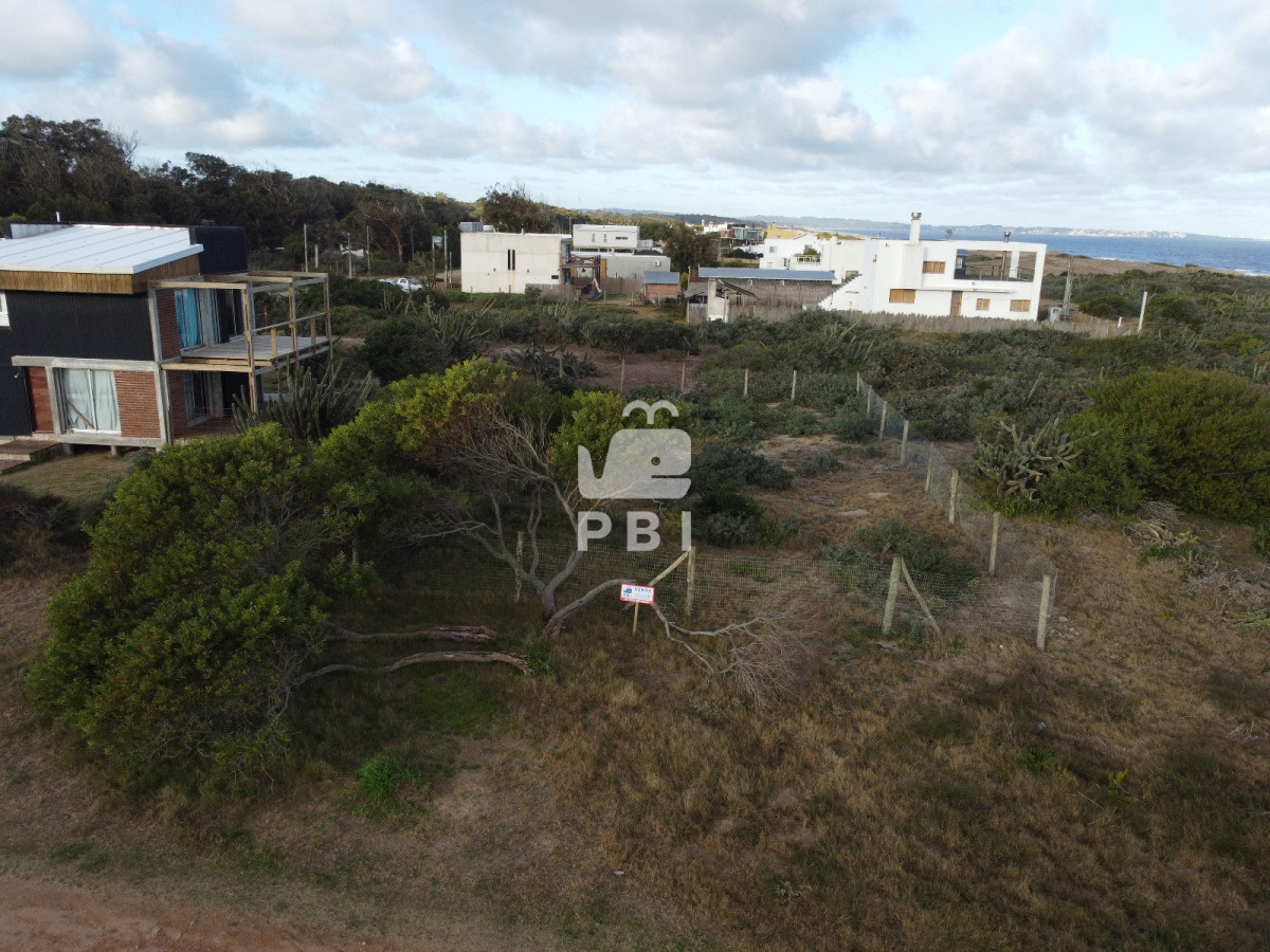Sauce de Portezuelo - GoPunta - Portal Inmobiliario de Punta del Este - Maldonado
