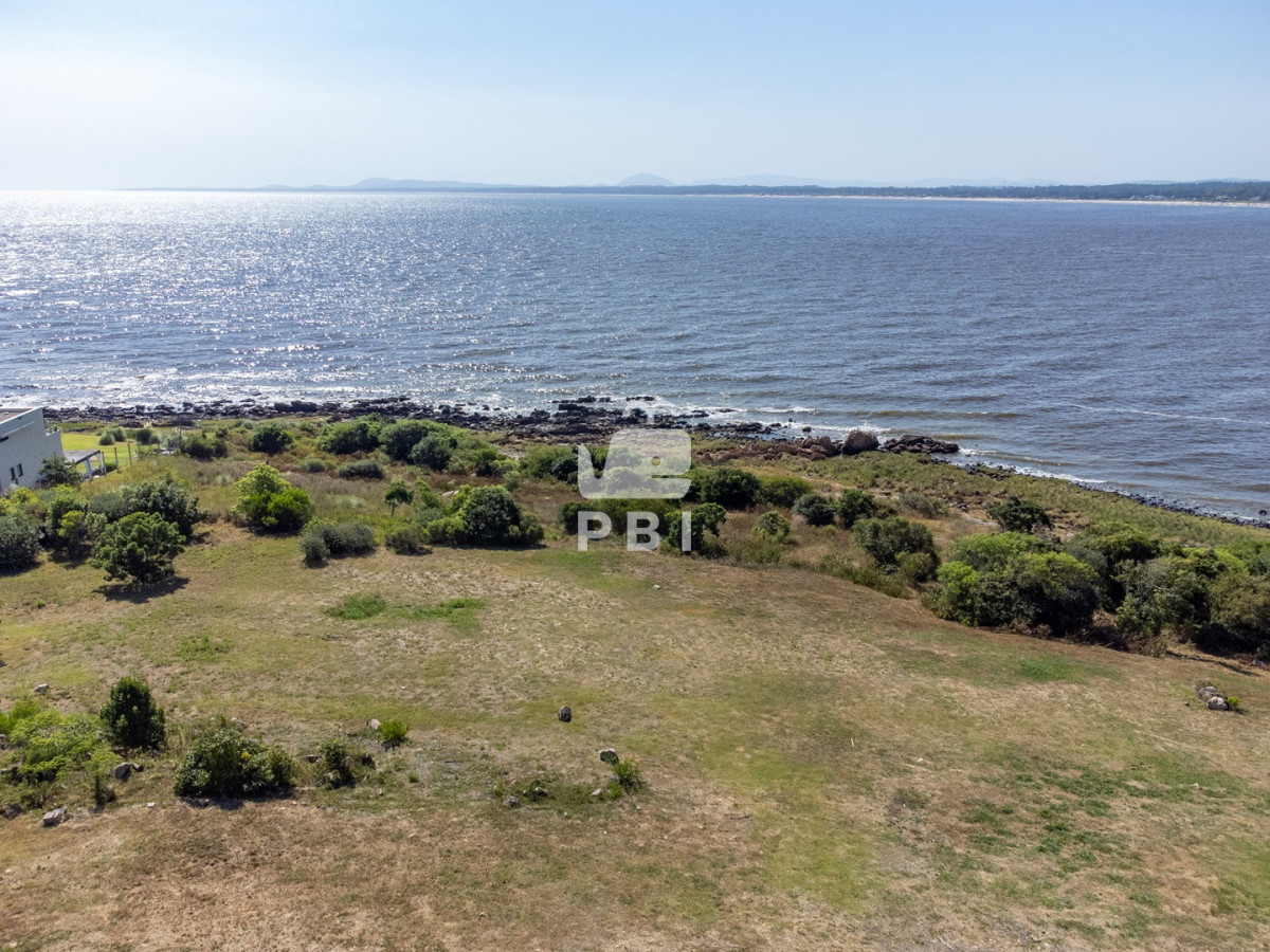 TG90ZSBlbiBMb21vIGRlIGxhIEJhbGxlbmEsIFB1bnRhIEJhbGxlbmEgLSBSZWYgOiBQQkkyOTM3