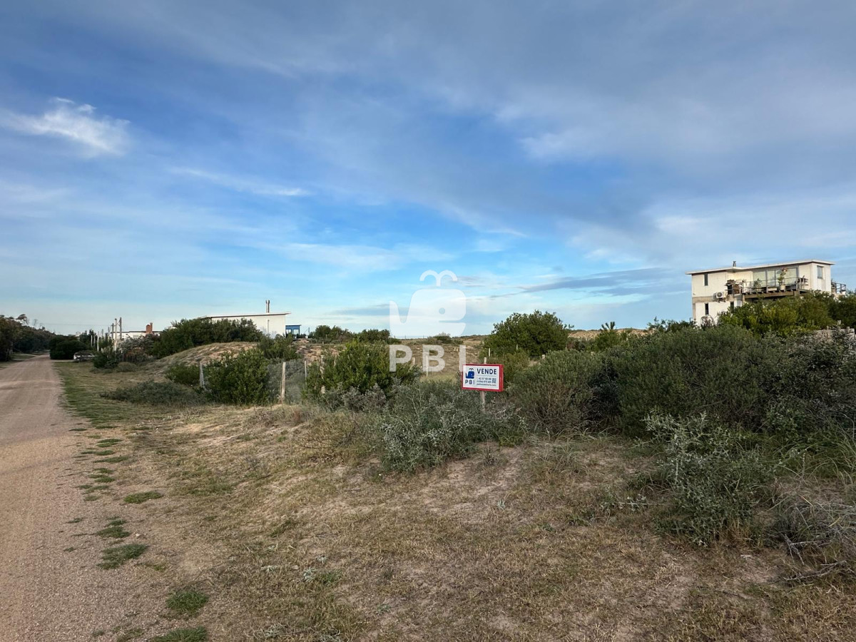 Sauce de Portezuelo - GoPunta - Portal Inmobiliario de Punta del Este - Maldonado