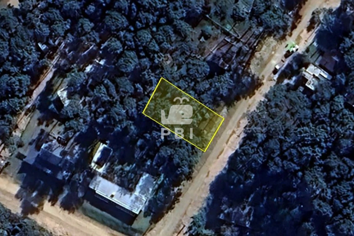 Departamentos y Casas en Punta del Este, Alquileres