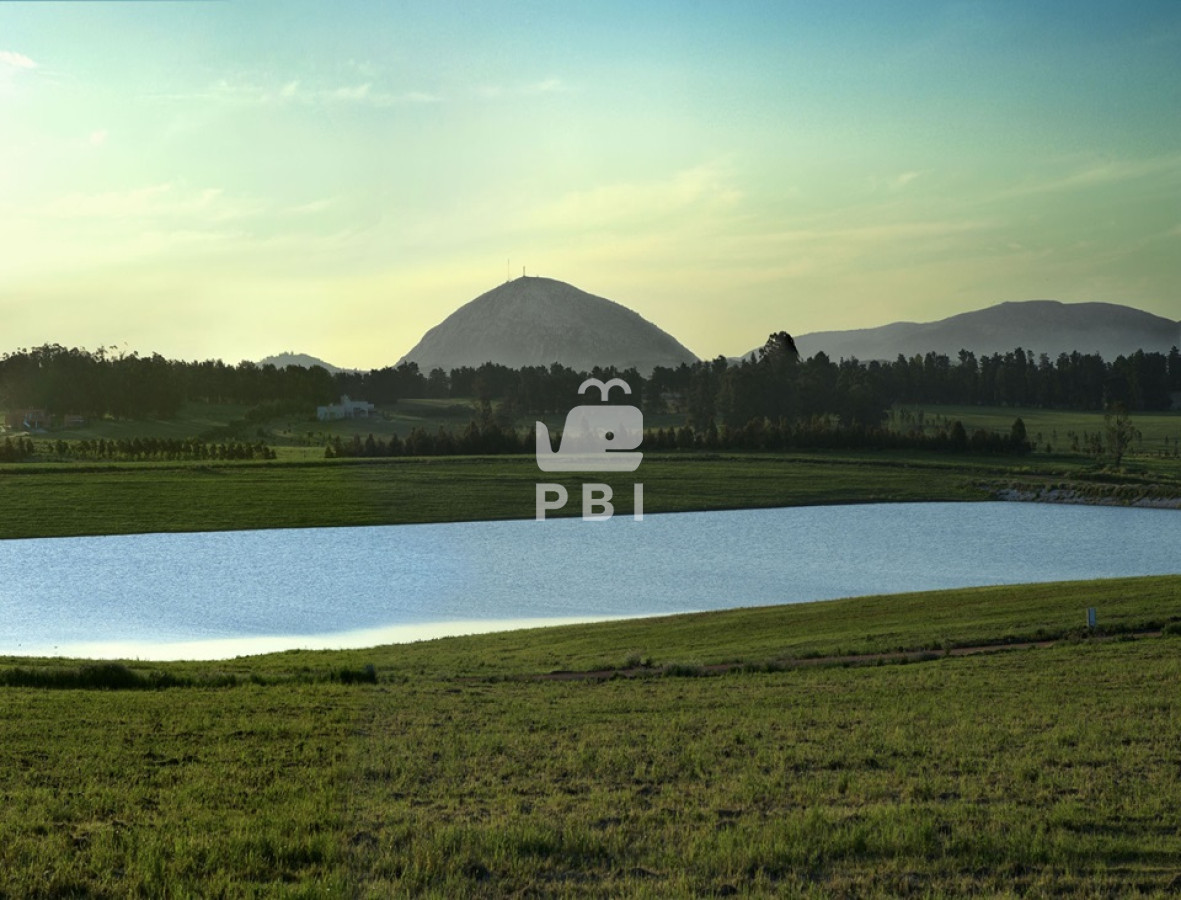 Laguna de los Cisnes - GoPunta - Portal Inmobiliario de Punta del Este - Maldonado