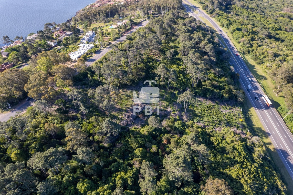 Lomo de la Ballena - GoPunta - Portal Inmobiliario de Punta del Este - Maldonado