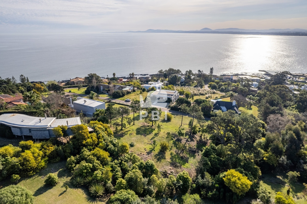 Lomo de la Ballena - GoPunta - Portal Inmobiliario de Punta del Este - Maldonado