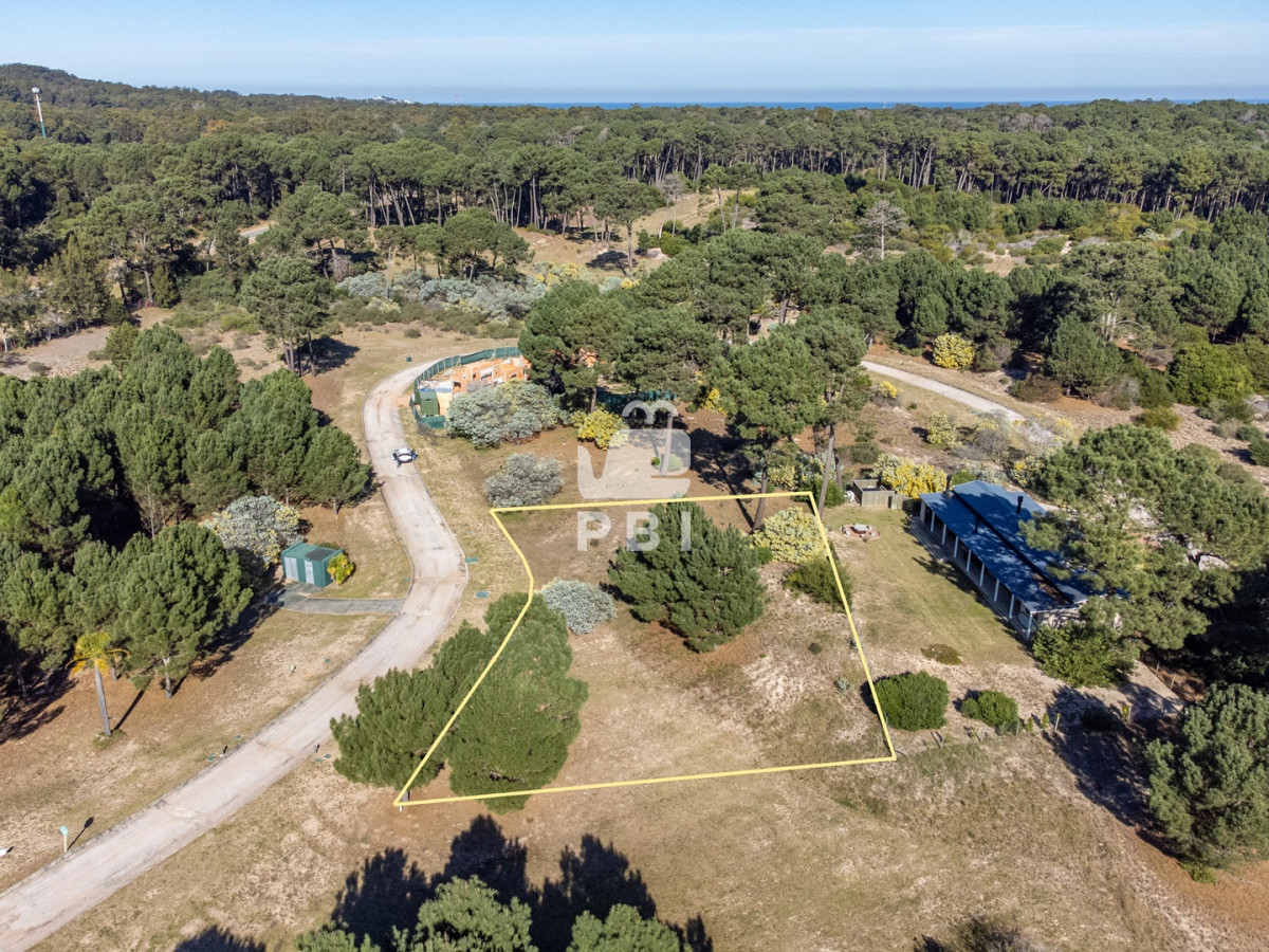 Laguna del Sauce - GoPunta - Portal Inmobiliario de Punta del Este - Maldonado