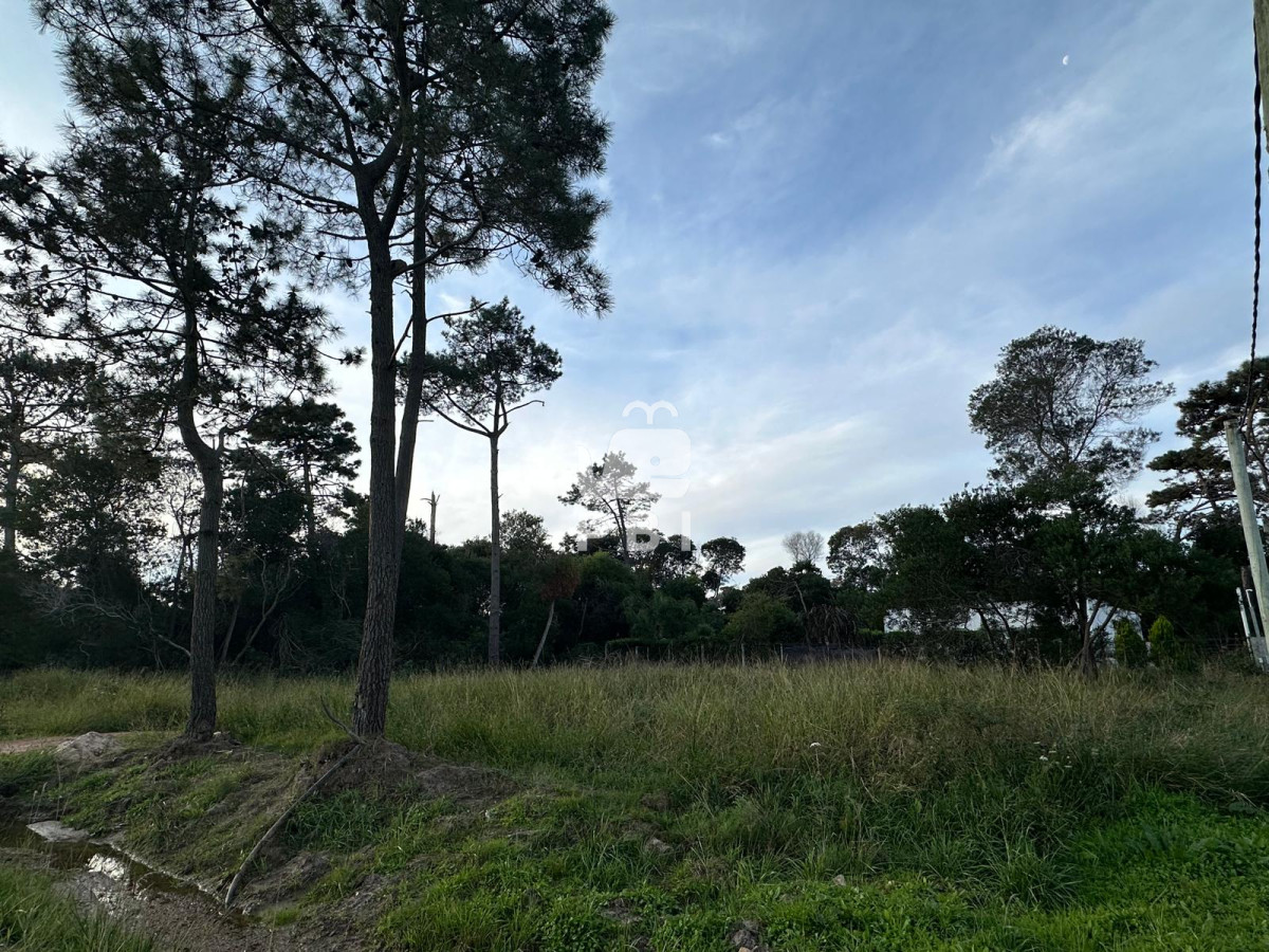 VGVycmVubyBlbiBPY2VhbiBQYXJrIC0gUmVmIDogUEJJMjkyMA==