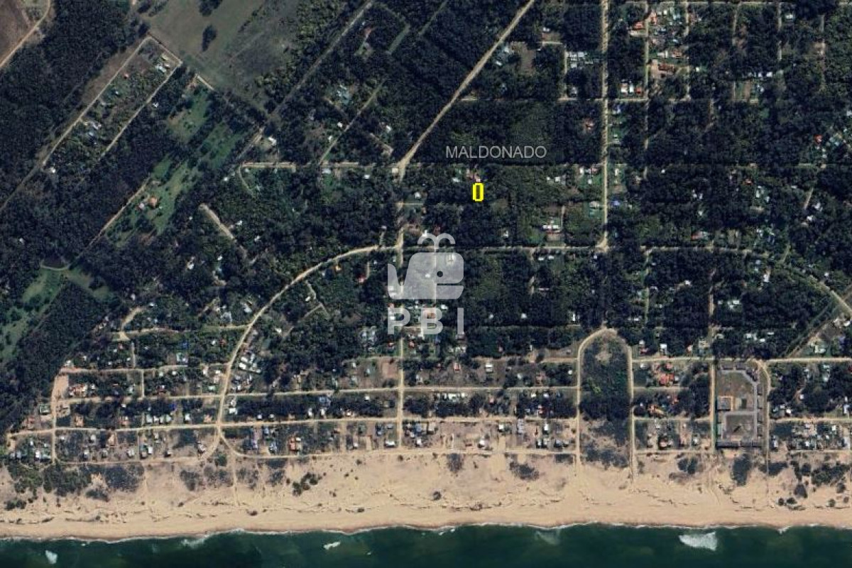 Sauce de Portezuelo - GoPunta - Portal Inmobiliario de Punta del Este - Maldonado
