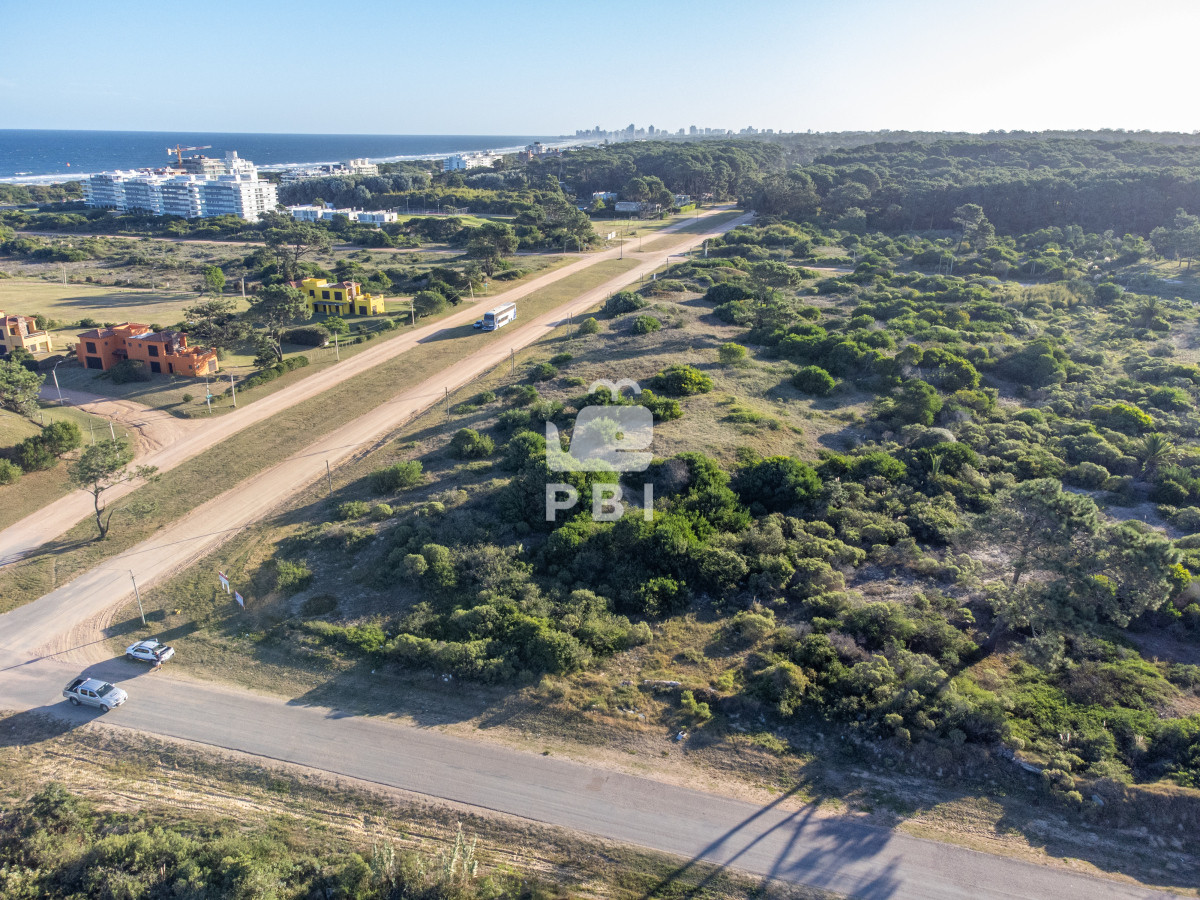 El Placer - GoPunta - Portal Inmobiliario de Punta del Este - Maldonado