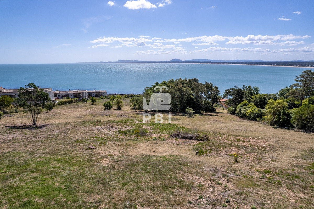 Lomo de la Ballena - GoPunta - Portal Inmobiliario de Punta del Este - Maldonado