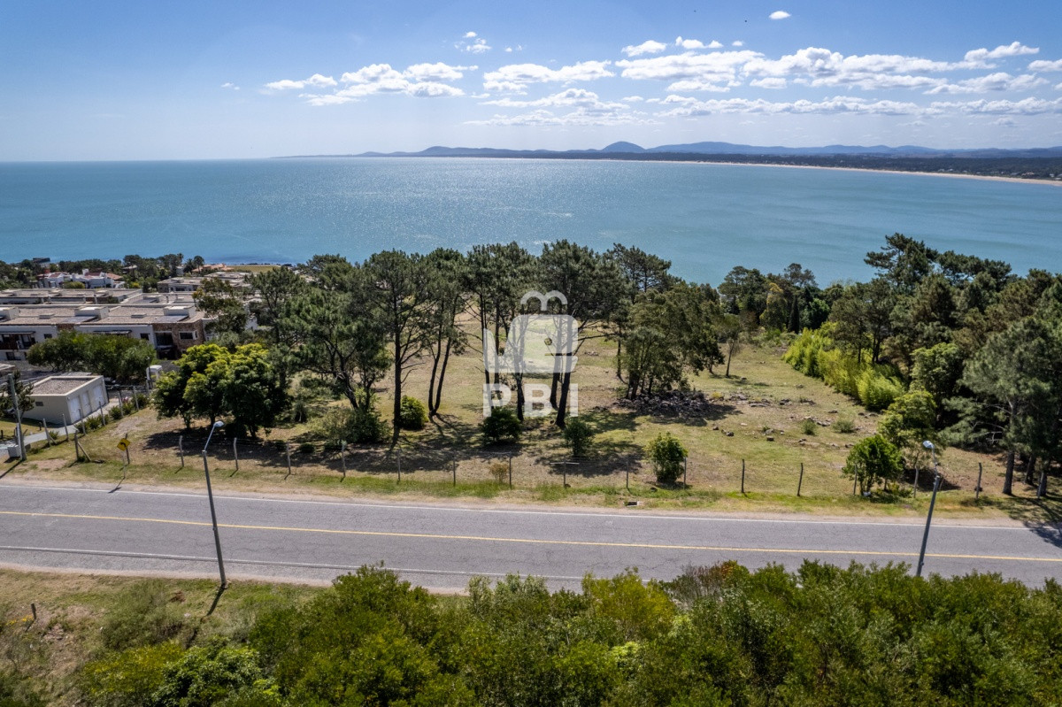 Lomo de la Ballena - GoPunta - Portal Inmobiliario de Punta del Este - Maldonado