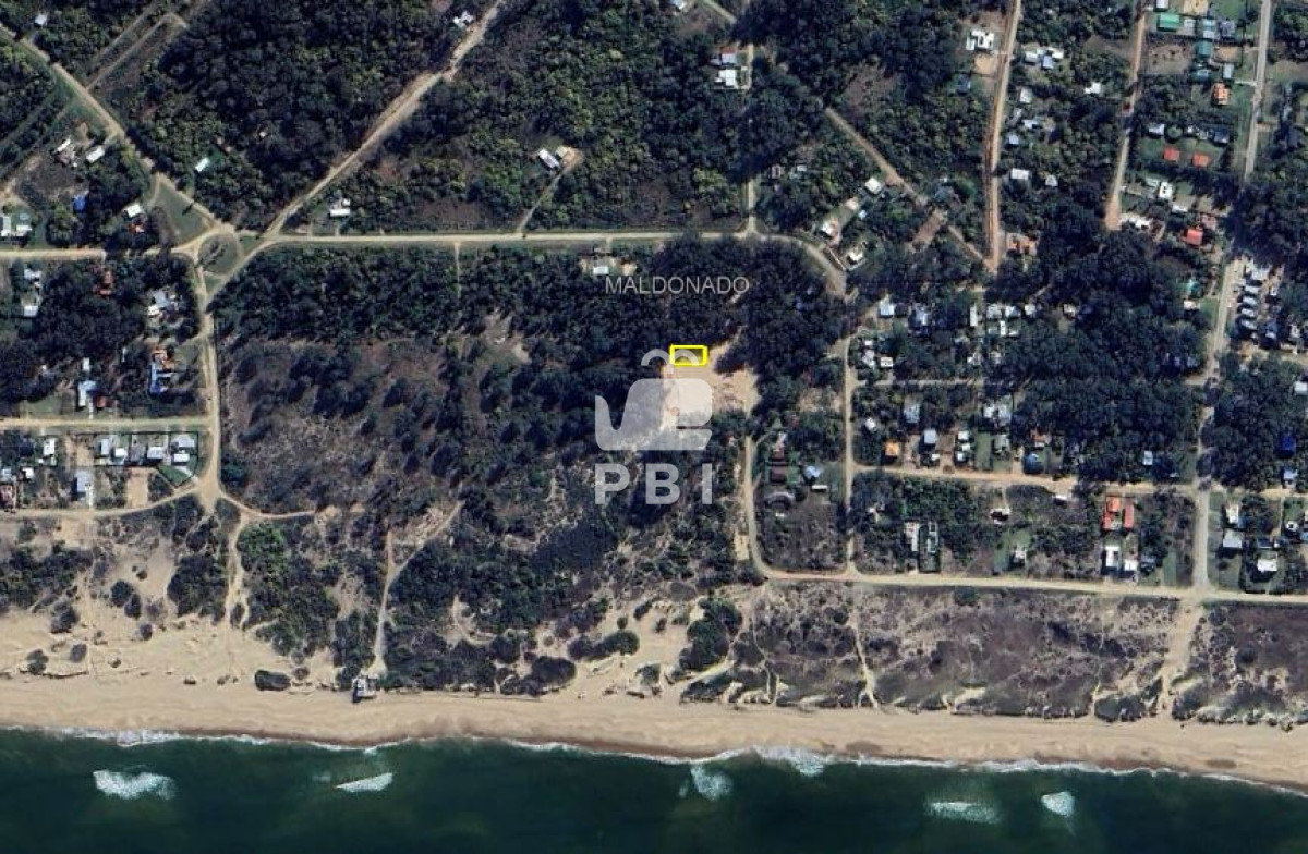 Sauce de Portezuelo - GoPunta - Portal Inmobiliario de Punta del Este - Maldonado