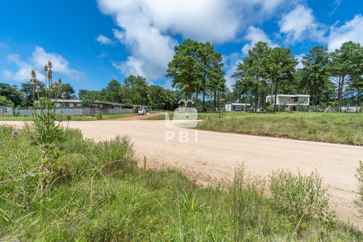 VGVycmVubyBlbiBDaGFjcmFzIGRlbCBQaW5hciAtIFJlZiA6IFBCSTEzMjE5