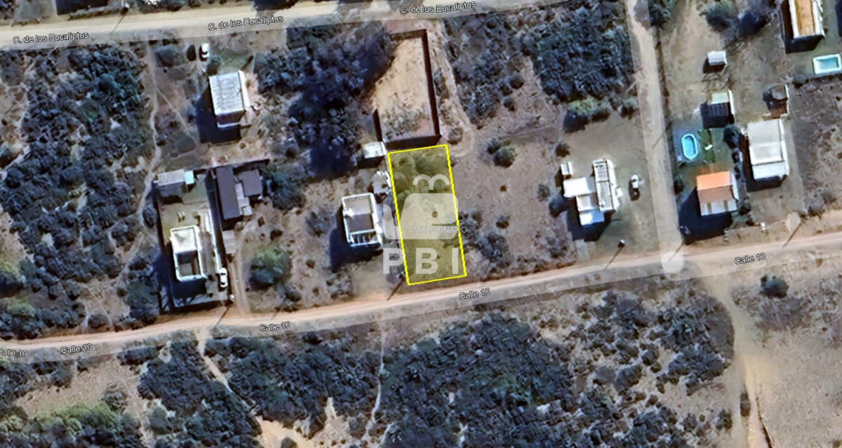 Sauce de Portezuelo - GoPunta - Portal Inmobiliario de Punta del Este - Maldonado