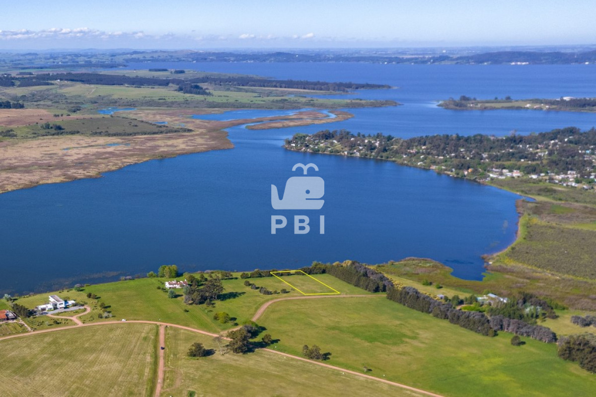 Laguna de los Cisnes - GoPunta - Portal Inmobiliario de Punta del Este - Maldonado