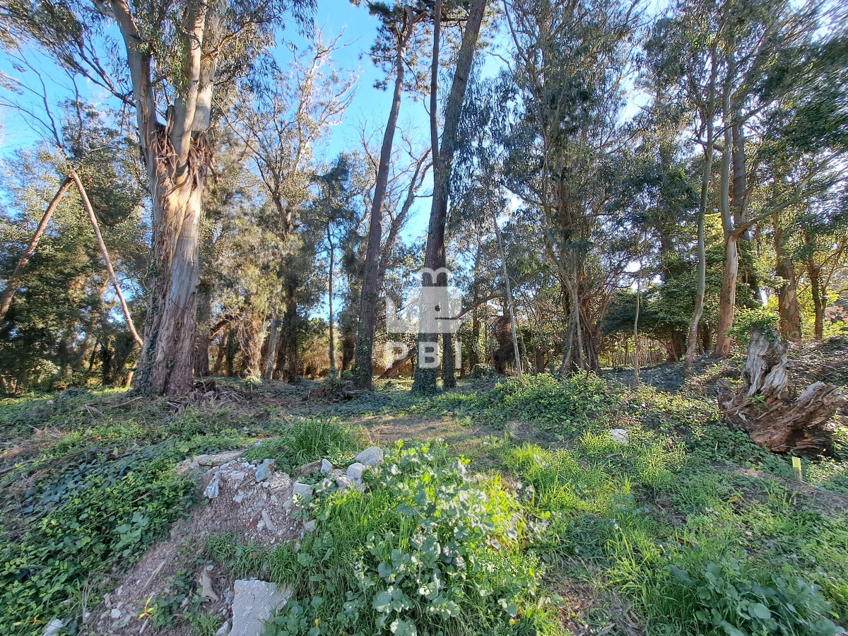Propiedad - GoPunta - Portal Inmobiliario de Punta del Este - Maldonado