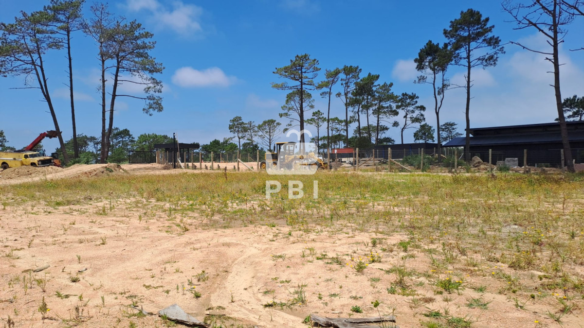 Montoya - GoPunta - Portal Inmobiliario de Punta del Este - Maldonado