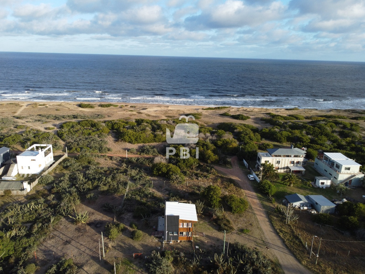 Sauce de Portezuelo - GoPunta - Portal Inmobiliario de Punta del Este - Maldonado